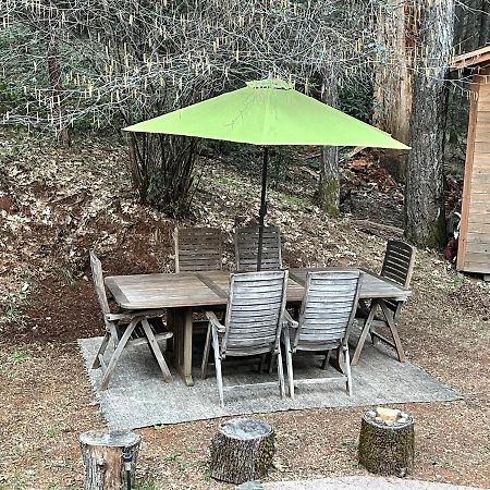 A Lovely Cabin House At Way Woods Retreat With Outdoor Hot Tub! - By Sacred Hub Mgmt Foresthill Zewnętrze zdjęcie