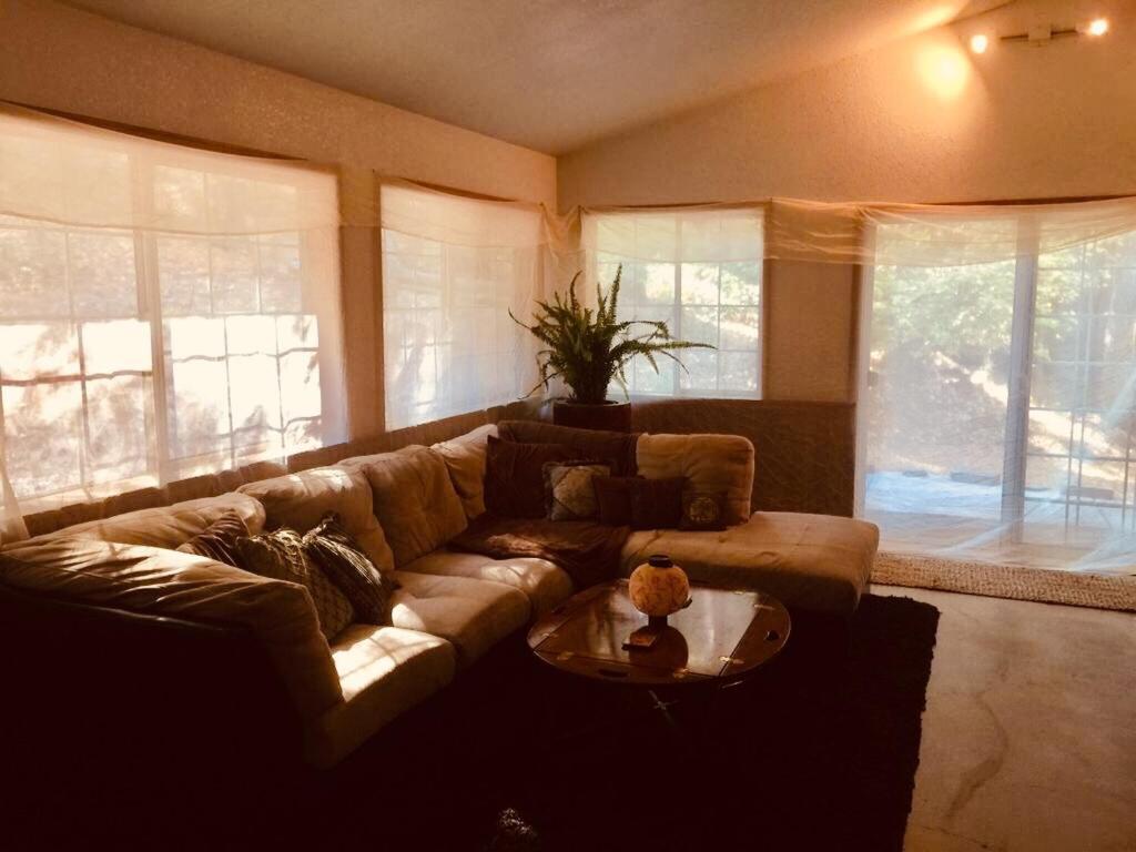 A Lovely Cabin House At Way Woods Retreat With Outdoor Hot Tub! - By Sacred Hub Mgmt Foresthill Zewnętrze zdjęcie